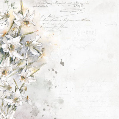 Aquarelles Collection