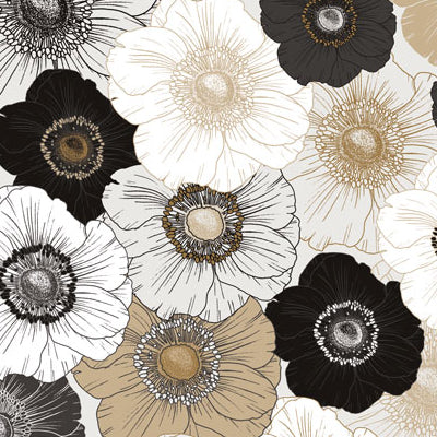 Lilybee Collection
