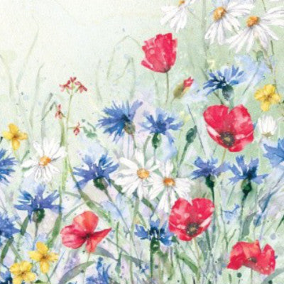 Summer Meadow Collection