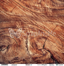 Load image into Gallery viewer, Paper 09-10 - Woods Collection
